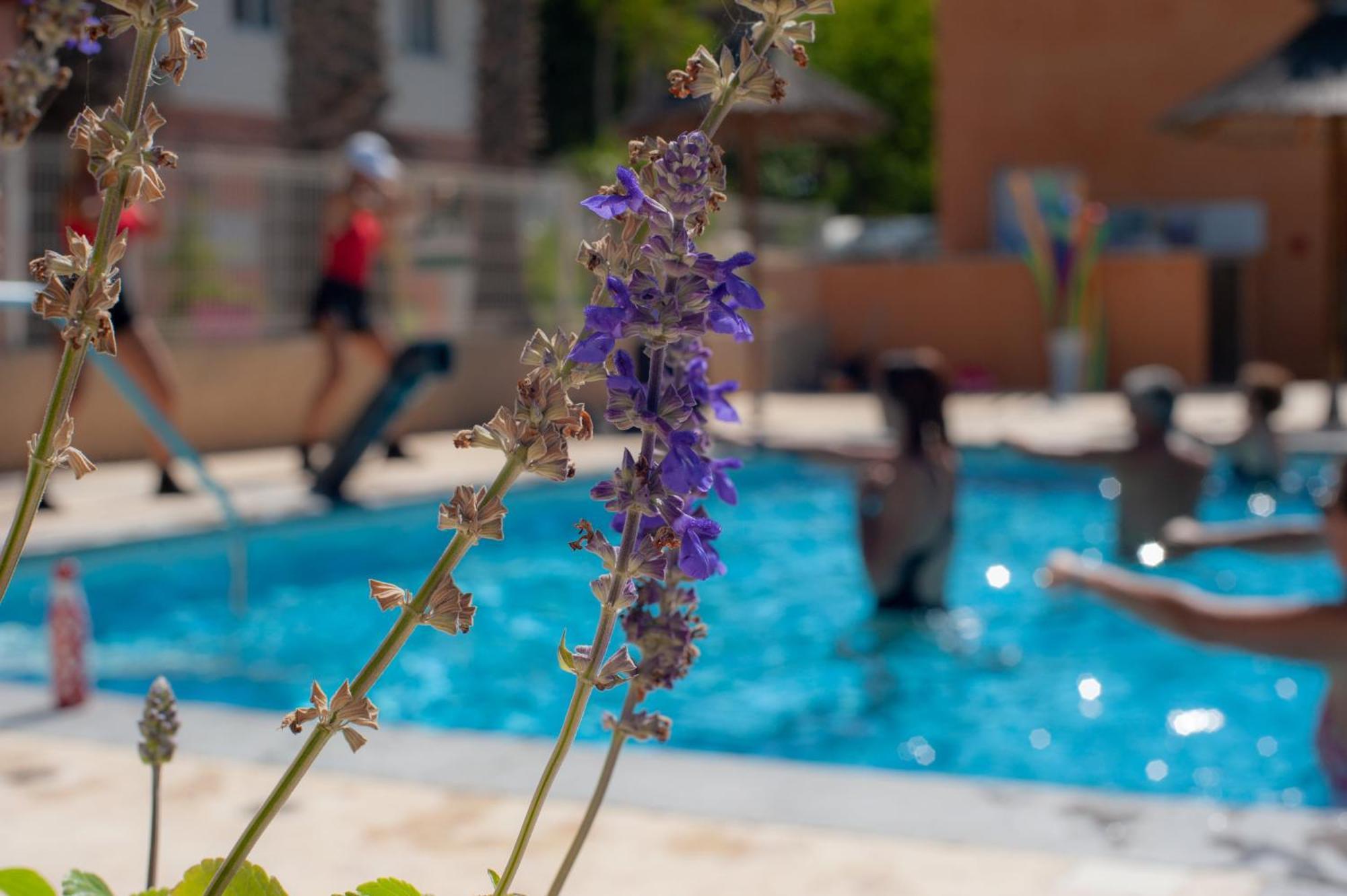 Camping Les Jardins D Agathe Le Grau-dʼAgde Exterior foto